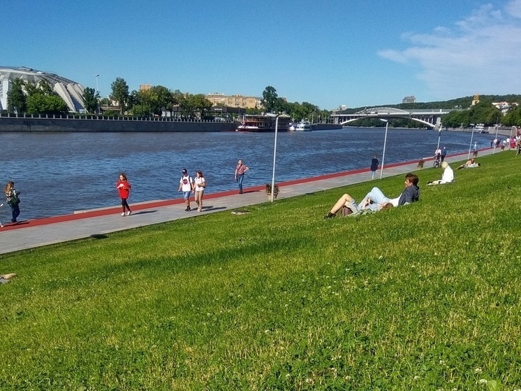   Елизавета Сапкова