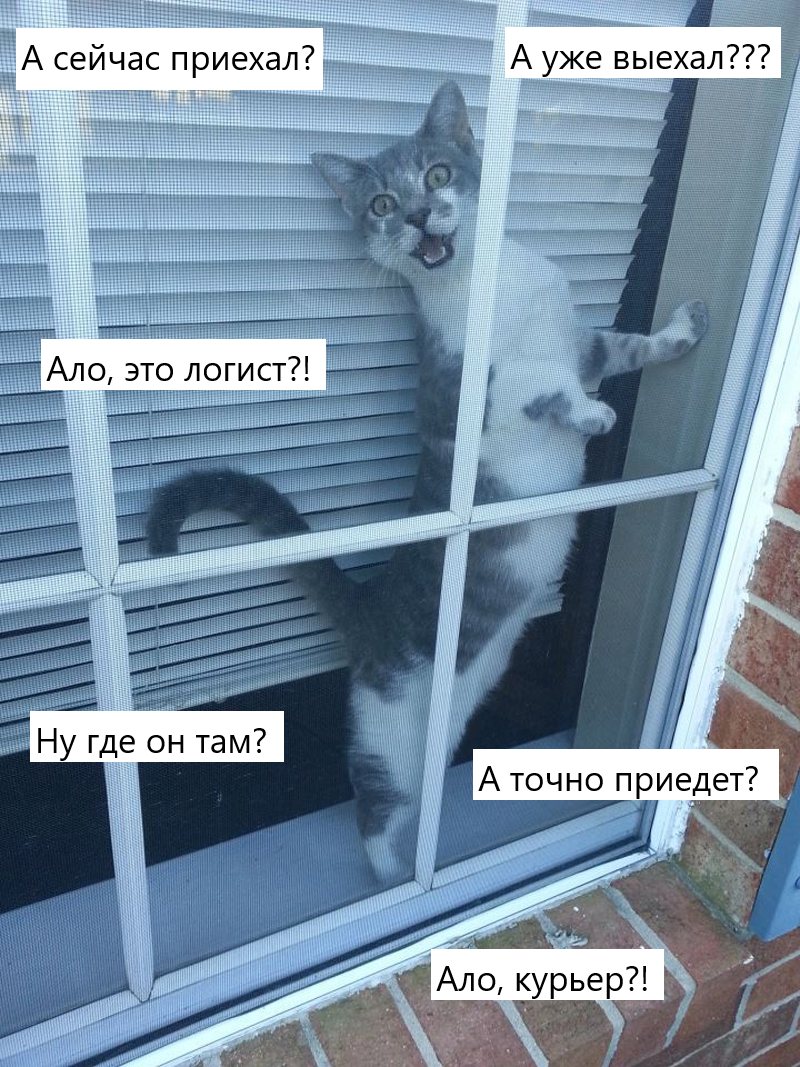 Томительное ожидание первого клада✨