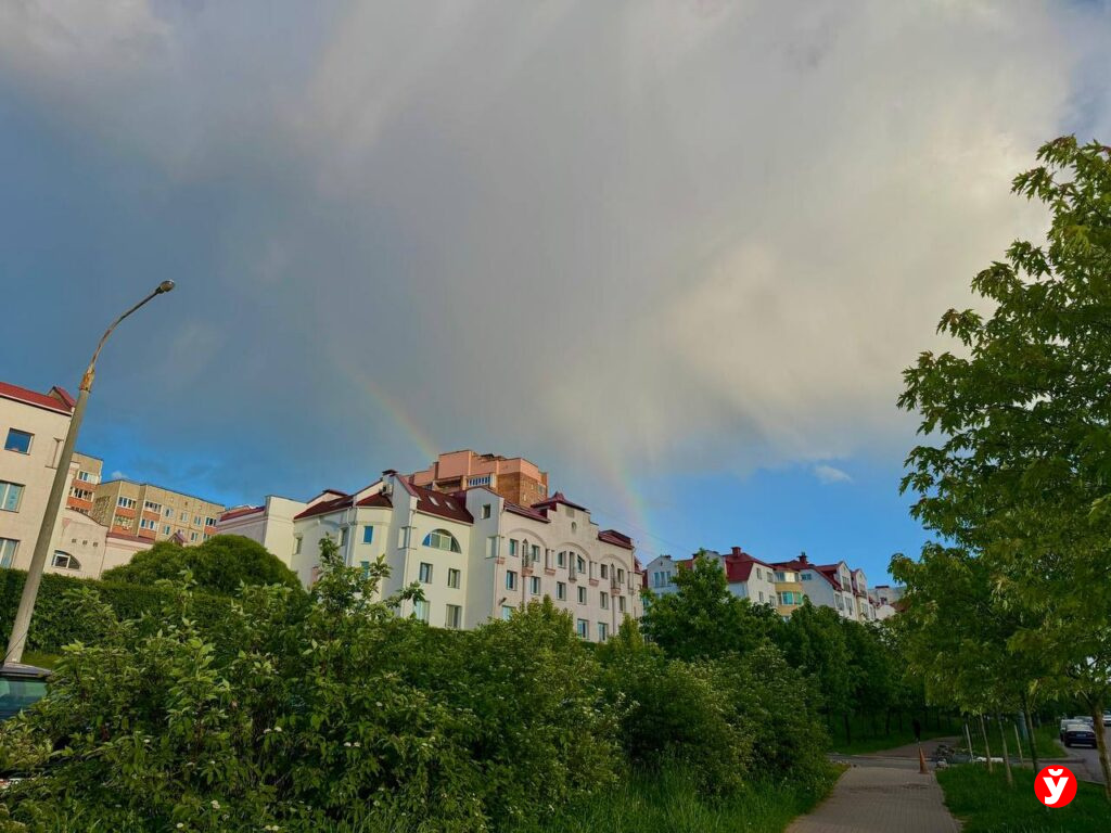 Фото: Екатерина Лапицкая, в качестве иллюстрации