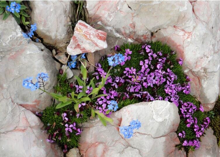    Фото: по лицензии CC0 Pxhere.com