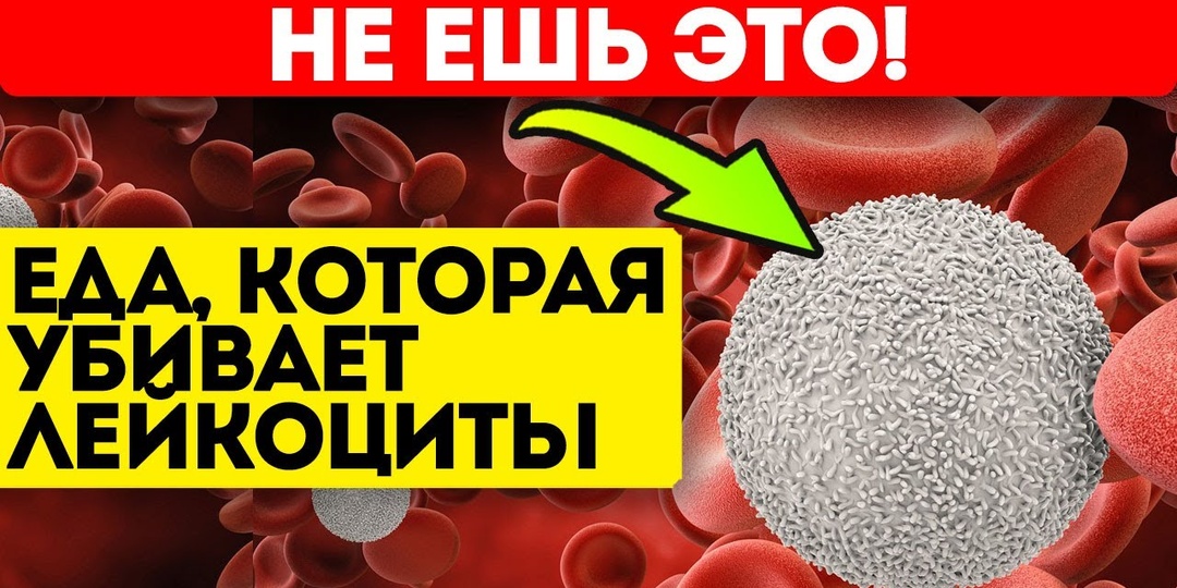 Что нужно знать о своей крови: 5 друзей и 3 врага кровеносной системы