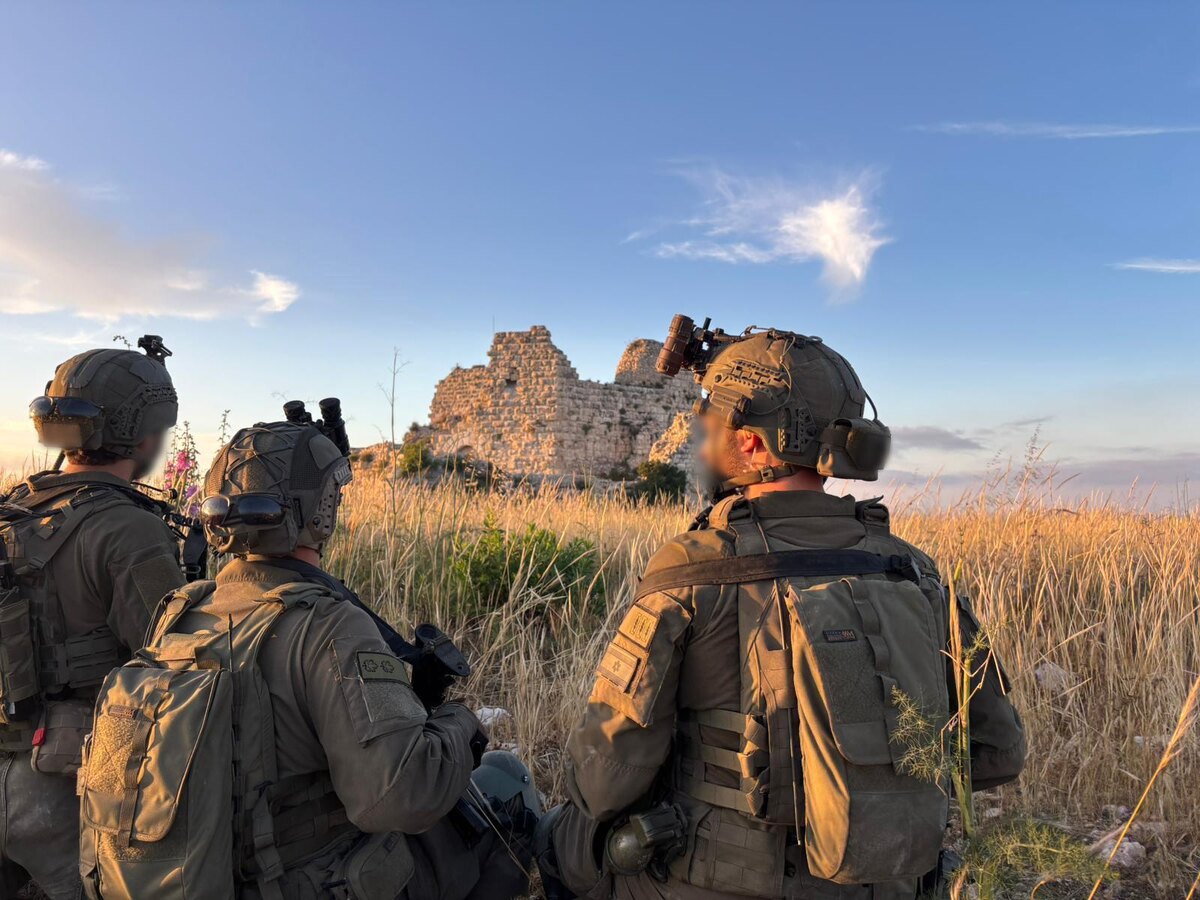    Israel Defense Forces/Global Look Press