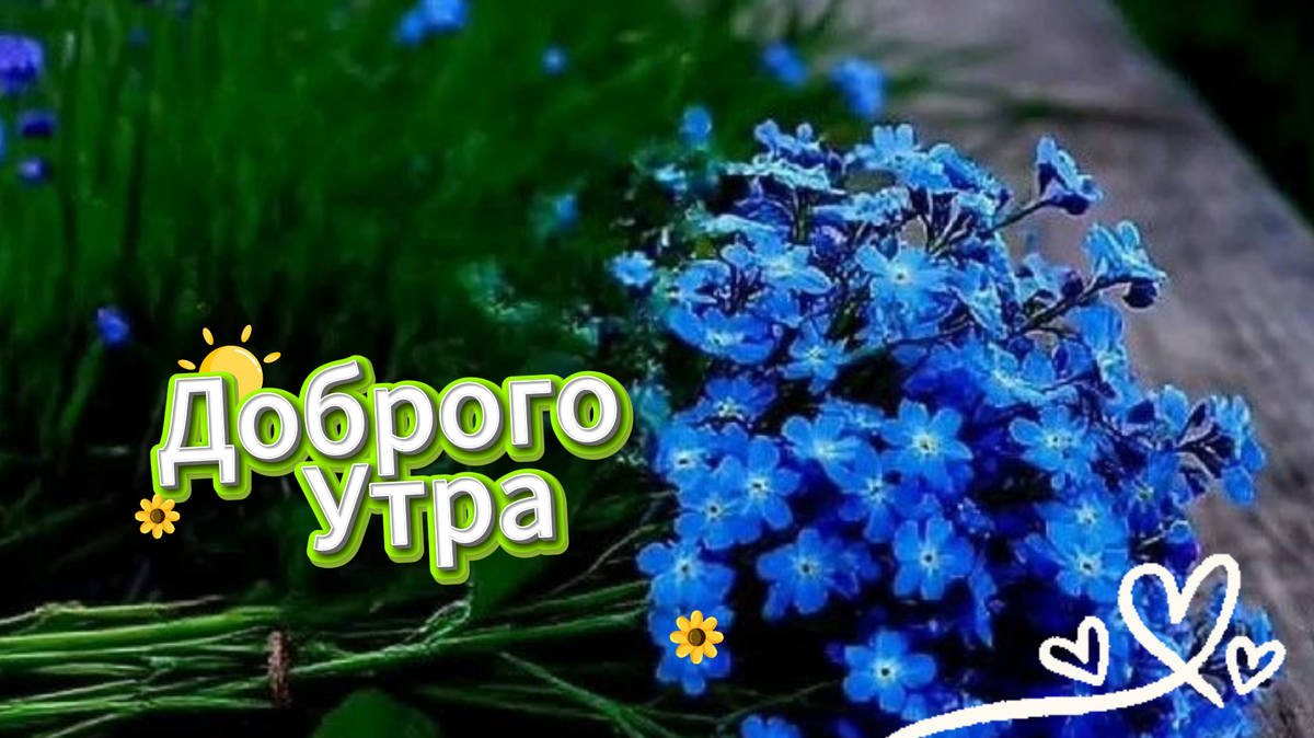 с добрым утром хорошего дня отличного настроения