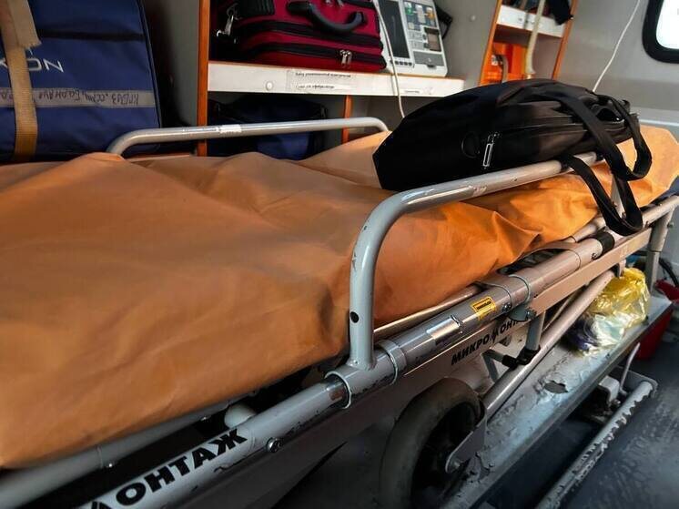     Фото: МК на Алтае/Оксана Исакова