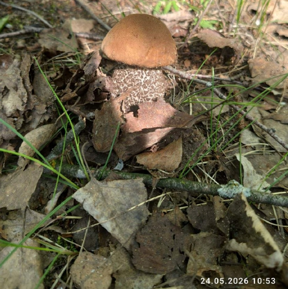 Фото соседа в белорусской деревне