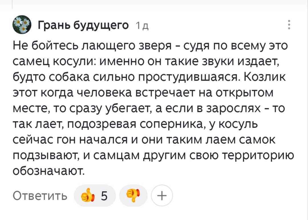 Скрин комментария. Спасибо большое! 