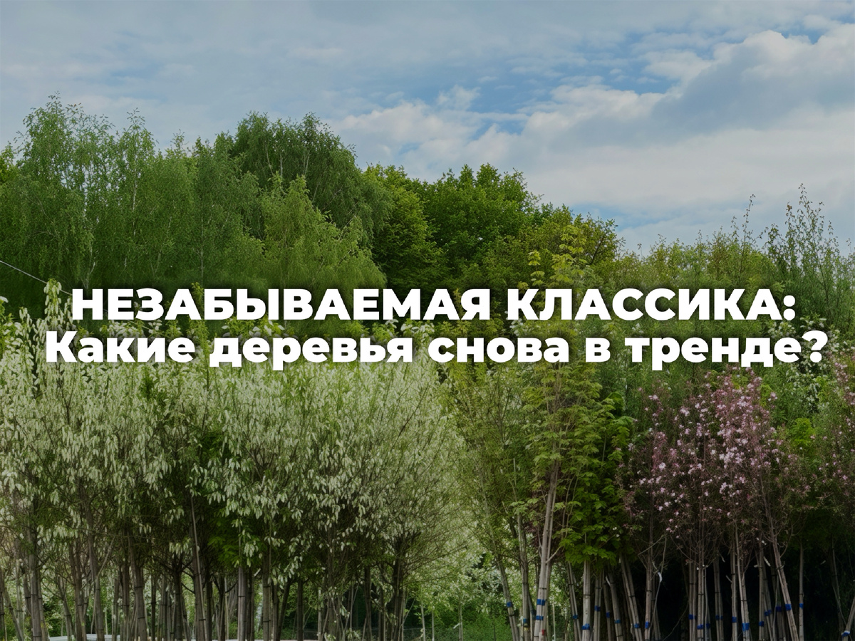 Еще больше полезного у нас в телеграмм канале - https://t.me/gorodmechta