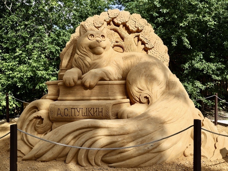     Кот учёный. Фото: Юлия Боровикова («Вечерний Челябинск»)
