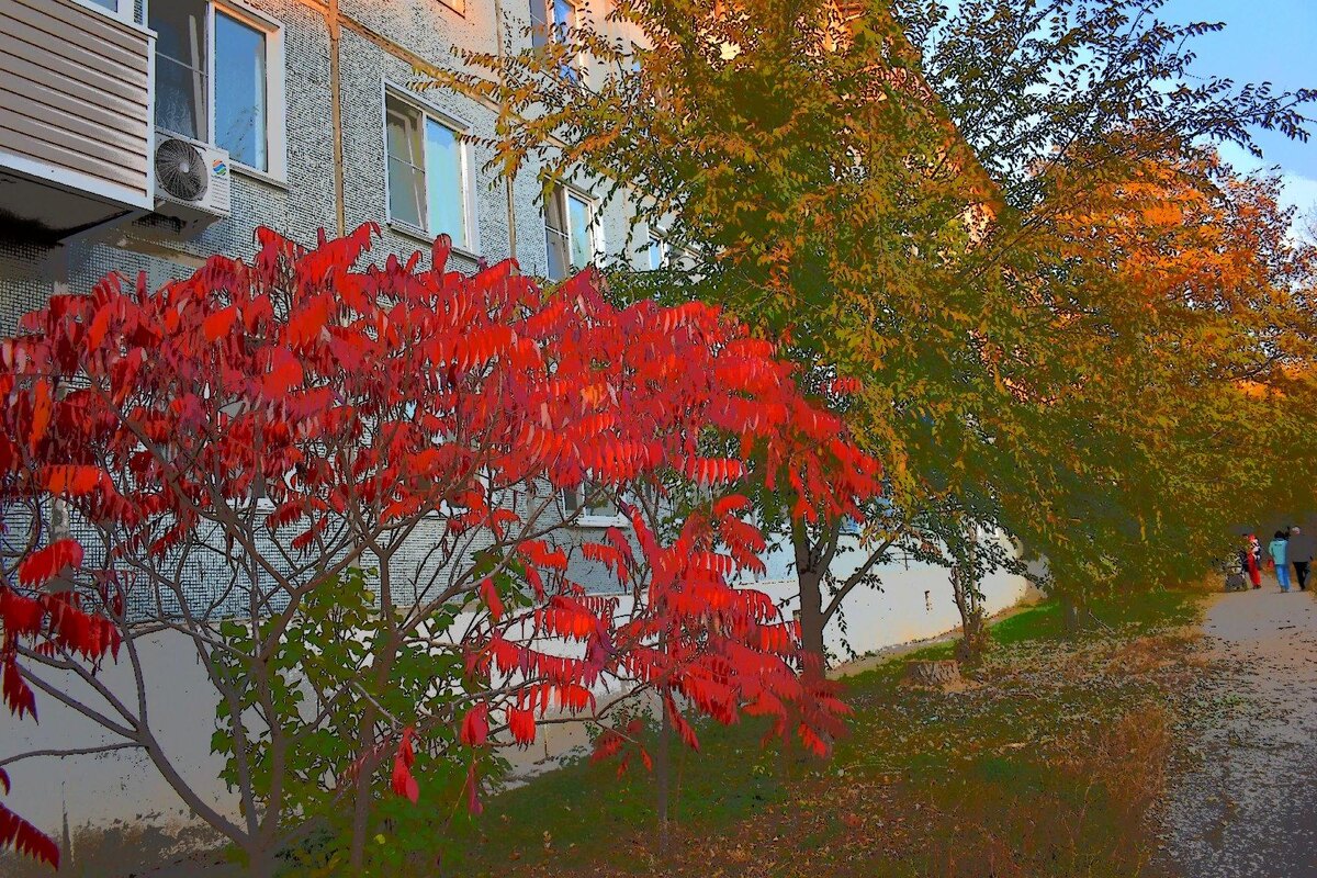 Фото автора