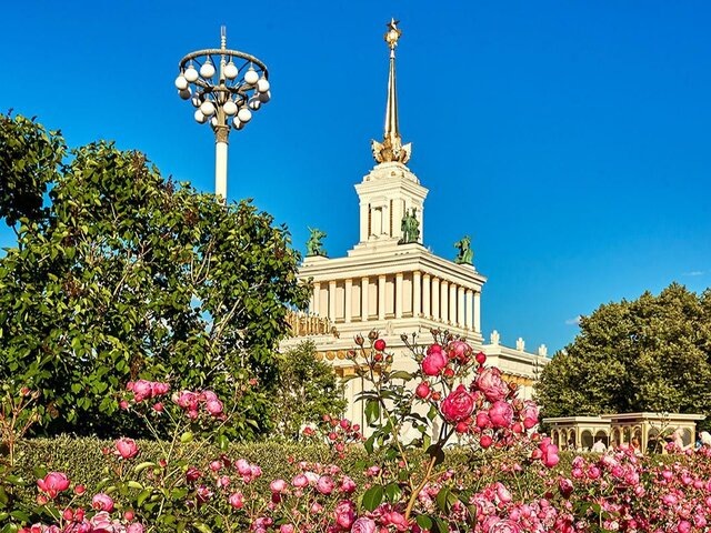    Фото: портал мэра и правительства Москвы