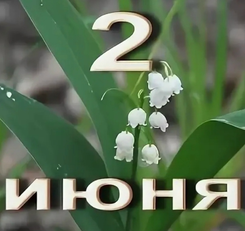 Овен ♈: На работе — всплеск энергии, но не тратьте её на споры. Родственники неожиданно предложат помощь в финансах. Время подумать о будущем, а не о сиюминутных рисках.                       Телец ♉: Вы становитесь опорой для других. Вернитесь к забытому проекту — он принесет выгоду. Вечер проведите в тишине, чтобы восстановить баланс.     Близнецы ♊: Ваш дар убеждения на пике! Утренняя встреча решит старую проблему, но перед подписанием бумаг проверьте всё дважды.                                  Рак ♋: Для вас начинается зона комфорта. Удача — в заботе о близких, а не в риске. Не поддавайтесь на просьбы коллег, если это нарушит ваши планы.    Лев ♌: Вас заметят! Влиятельное лицо оценит таланты, а старая идея принесет прибыль. Домашние хлопоты создадут защиту и уют.                                                  Дева ♍: Организуйте команду — это принесет доход. Возглавьте один проект, чтобы получить максимум. Прагматичность сейчас — ваше главное оружие.                                               Весы ♎: Идеальный день для совместных покупок или старта бизнеса с партнером. Прибыль придет через семью, а не через одиночные подвиги. Не спорьте о деньгах с родственниками.Скорпион ♏: Чутье на выгоду обостряется, мошенники не пройдут! Доход возможен в консультациях. В семье — проявите гибкость, чтобы избежать конфликтов.Стрелец ♐: Наведите порядок в финансах и планируйте отпуск. Ваше предложение поддержат, а бизнес лучше строить на перспективу, отказавшись от быстрой выгоды.Козерог ♑: Аккуратность в документах спасет от потерь (особенно в аренде или стройке). Ответственный разговор о бюджете стабилизирует доход. Вечер посвятите хобби.Водолей ♒: Нестандартный подход к рутине сэкономит ресурсы компании. Финансы умеренные, но появится ясность на неделю вперед. Креативность принесет новые полномочия.Рыбы ♓: Интуиция подскажет, как сэкономить семейный бюджет. Хороший день, чтобы попросить отсрочку по платежам — вам не откажут. Свободное время — для уборки и планирования.