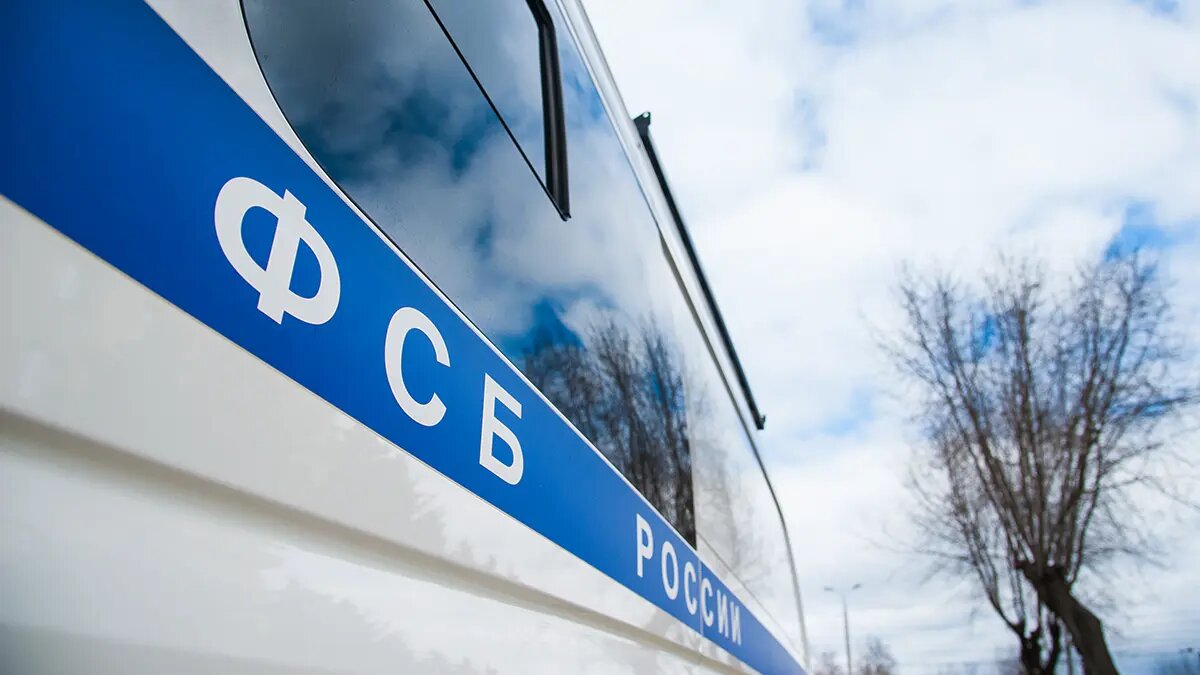    Источник: vm.ru/ Дамир Макеев