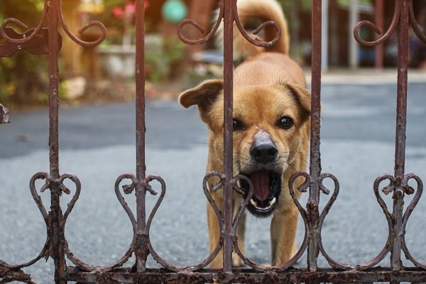 Источник фото shutterstock.com
