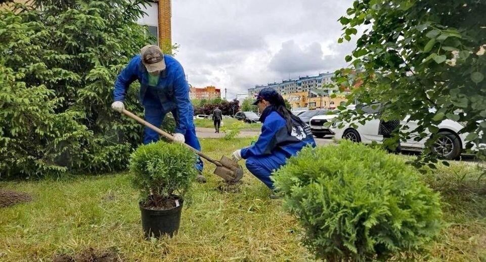    Министерство по содержанию территорий и государственному жилищному надзору Московской области
