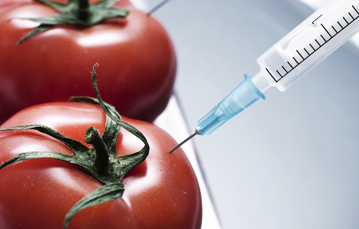 ГМО в пищевой продукции     78centr.ru