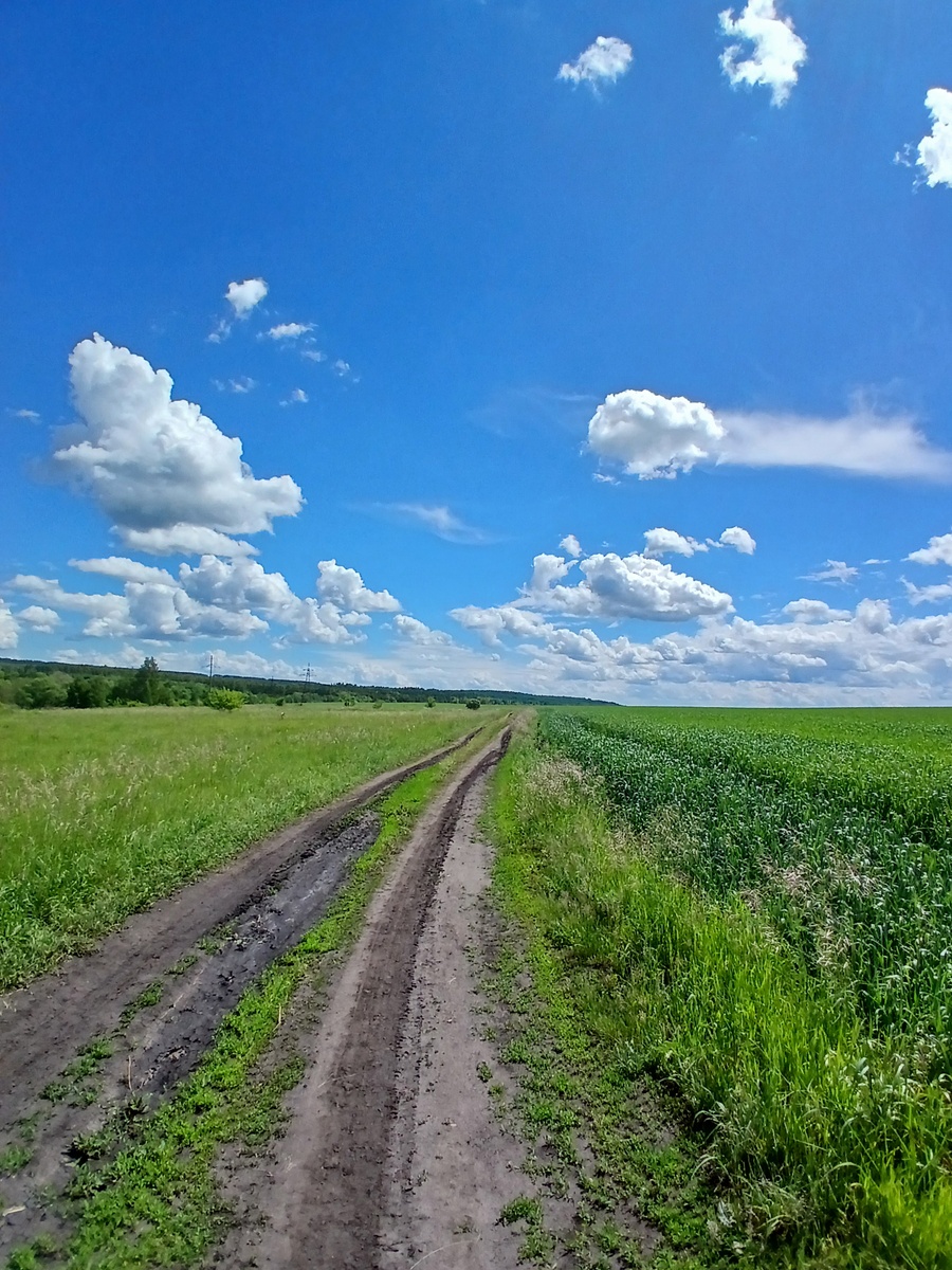 Фото мое как  и все другие. 31.05.2026г