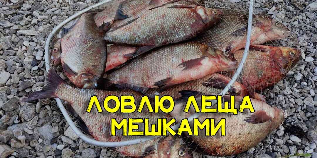 Уловистая насадка на леща из СССР. Есть на кухне у многих. Ловлю рыбу мешками