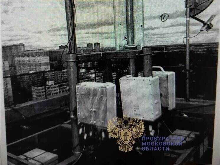     Фото: Прокуратура Московской области
