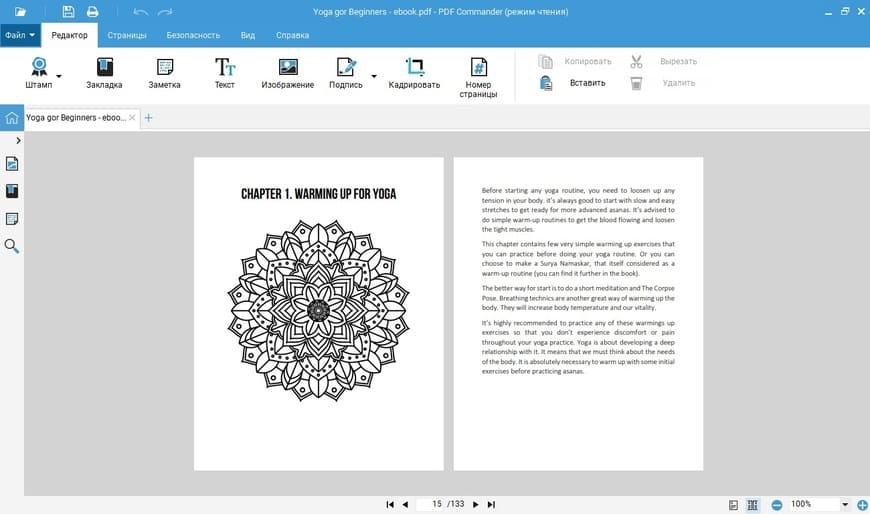 Пример электронной книги, отредактированной при помощи PDF Commander