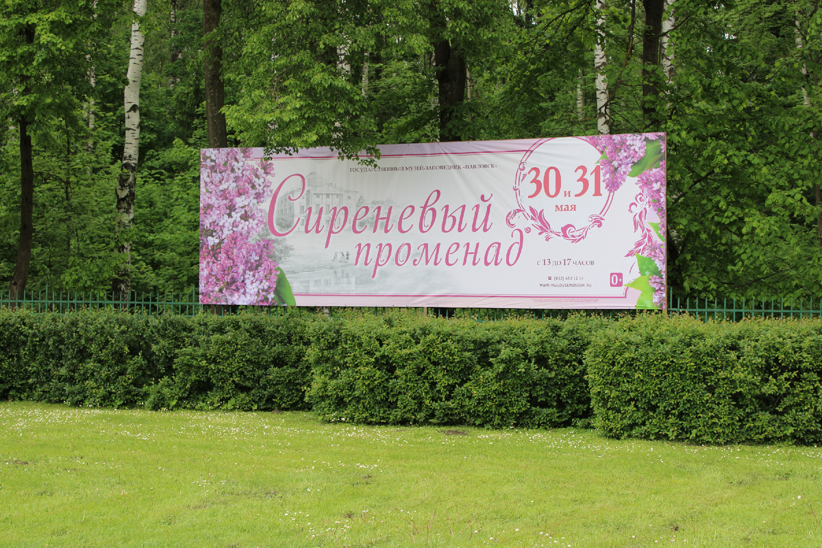 Фестиваль в парке