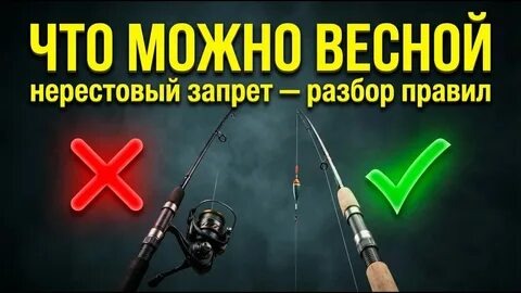 🚨 Нерестовый запрет в июне-2026: как рыбачить, чтобы не «кормить» инспекторов и не лишиться снастей