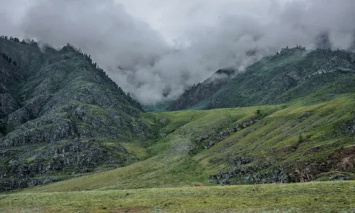 Алтай. Фото из интернета 