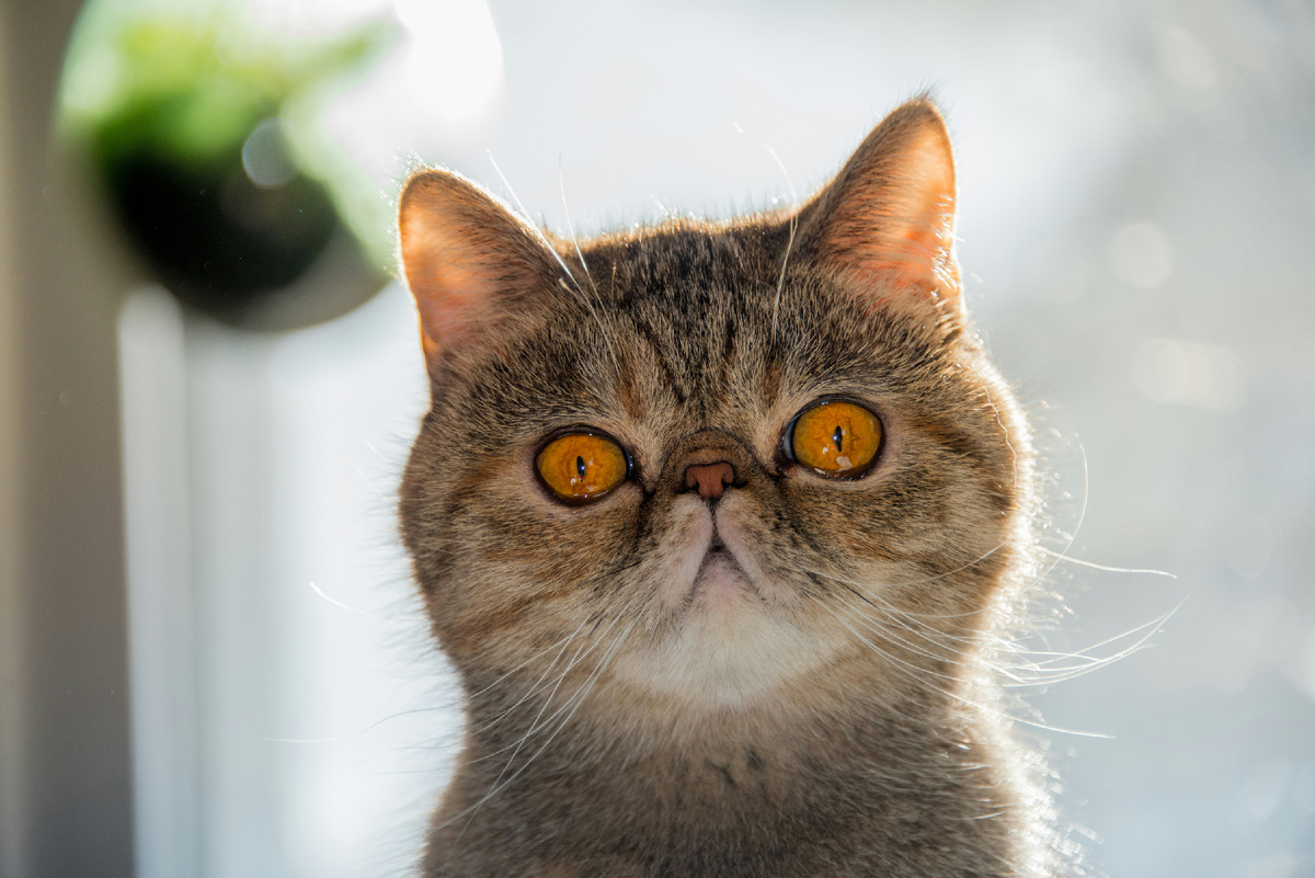 Photo by Dan Wayman on Unsplash