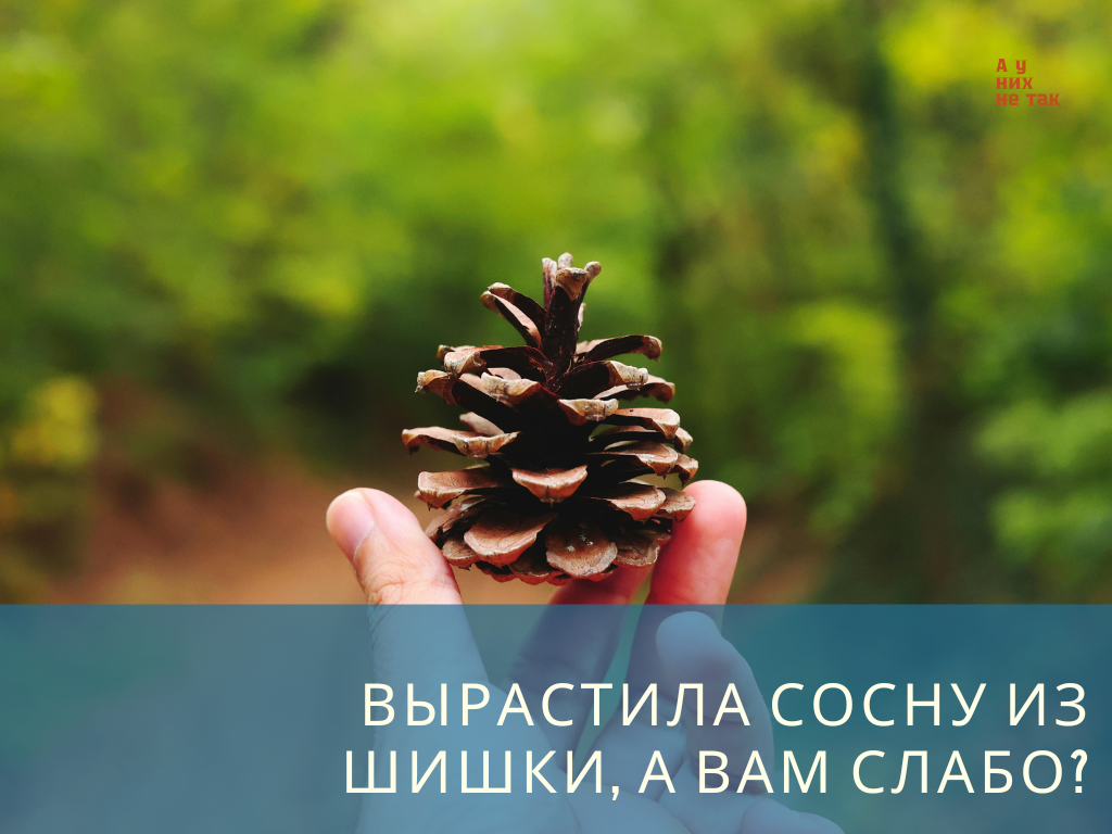 Фото: canva.com