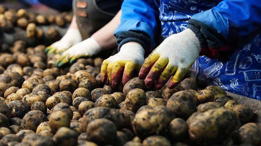    Фото: ИЗВЕСТИЯ/Эдуард Корниенко