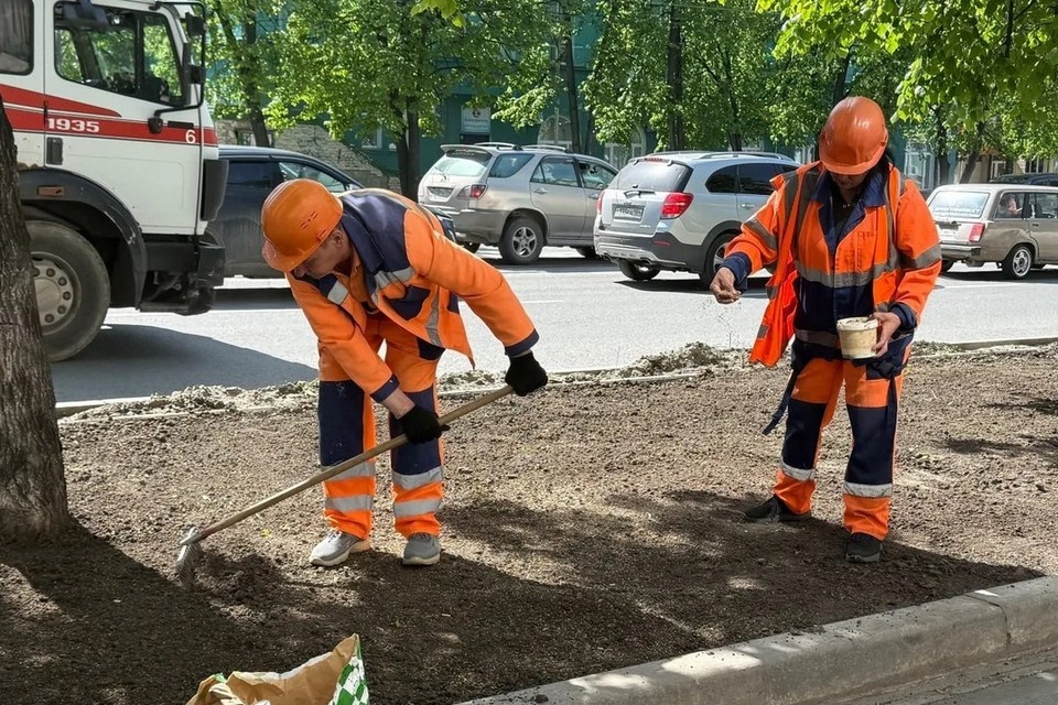    На улице Богдана Хмельницкого в Новосибирске продолжают обновление газонов. Фото: мэрия Новосибирска