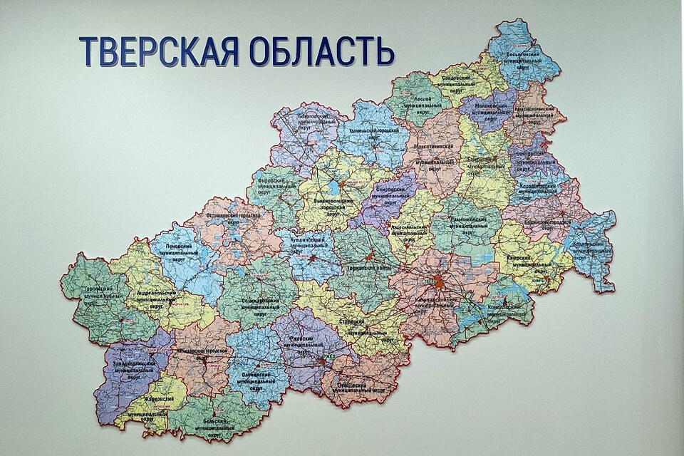    По результатам голосования по одномандатным округам в Госдуму лидирующие позиции заняли Владимир Васильев и Алёна Аршинова. Александр ЖМУЛИН