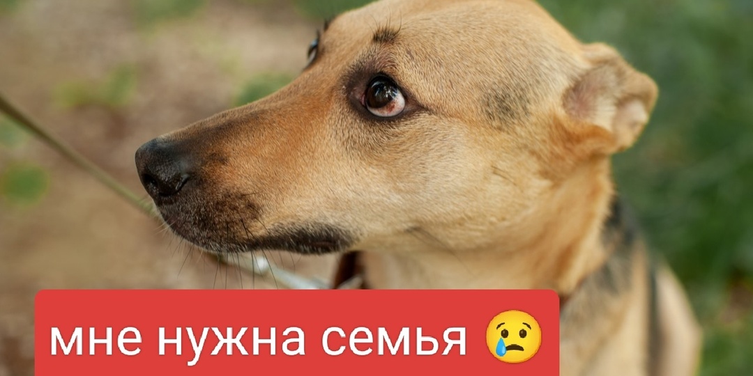 🕊️ ВРЕМЯ ИДЁТ И МЫ НЕ МОЛОДЕЕМ… АЛИСА ЖДЁТ 🕊️