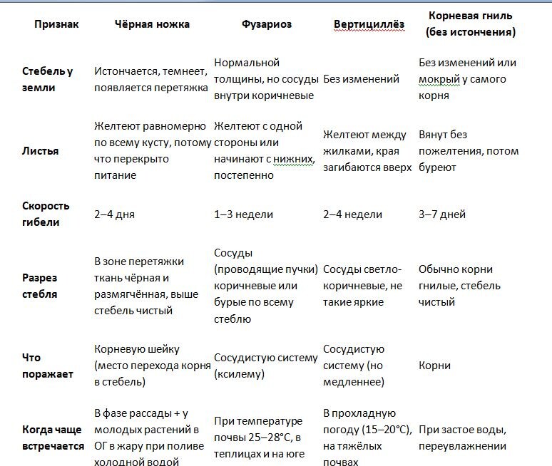 Таблица и фото Натальи Мироновой
