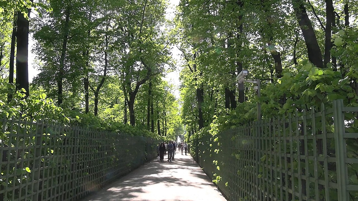 Фото: Sergey A. Demidov, CC BY 4.0, via Wikimedia Commons