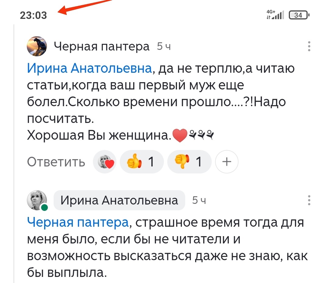 Скриншот с канала "Ирина Анатольевна", ссылка на источник: https://dzen.ru/irinka