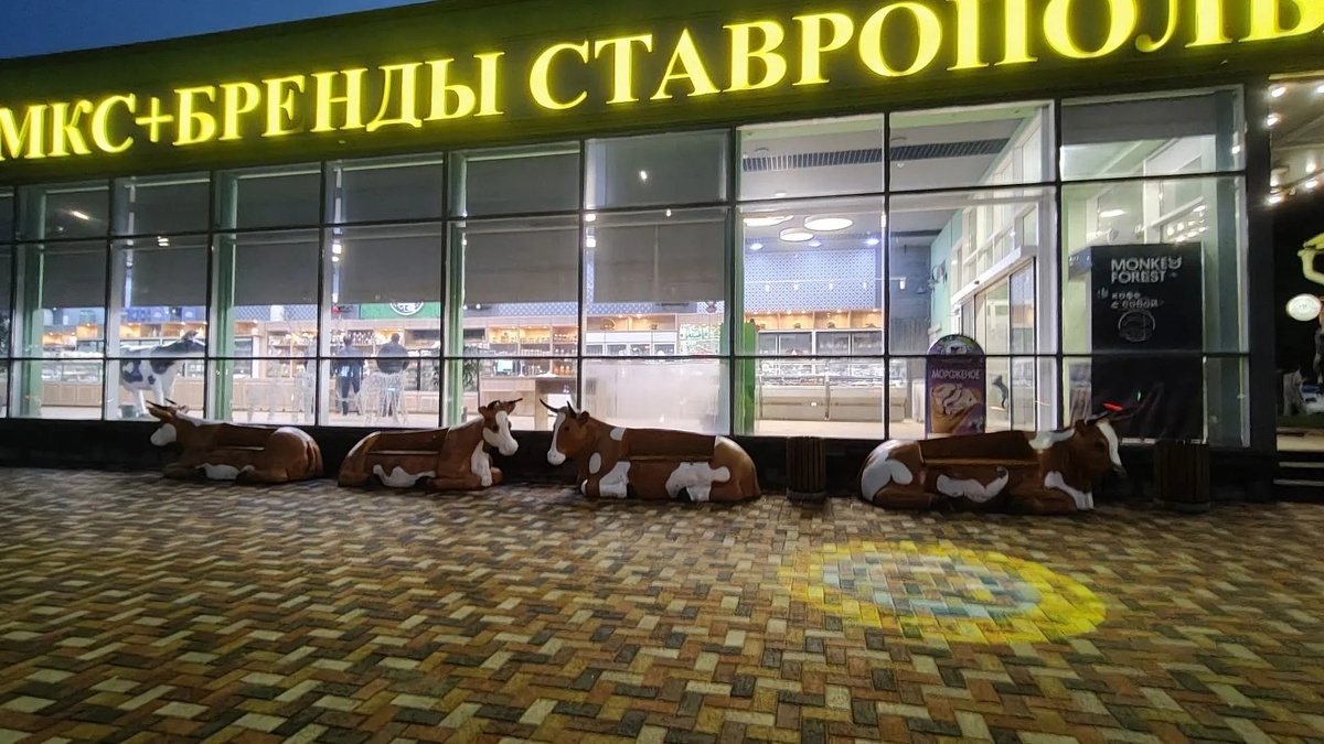 Целое стадо коров