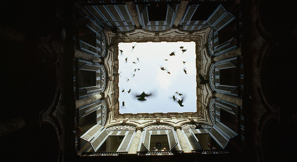 Подборка крутых неопубликованных фотографий National Geographic. Часть 3