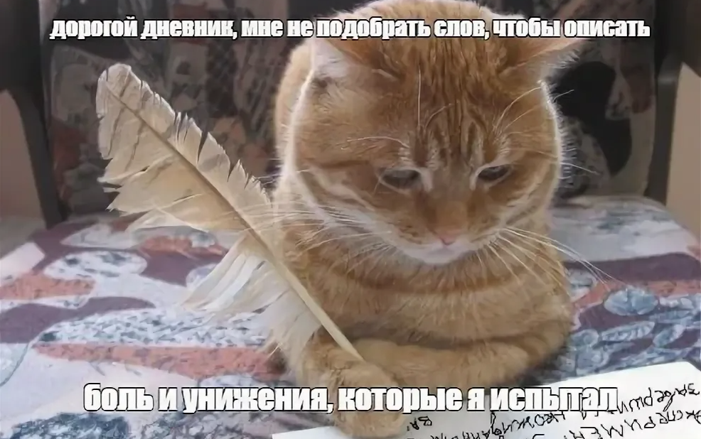 Забвный мемчик про дневник