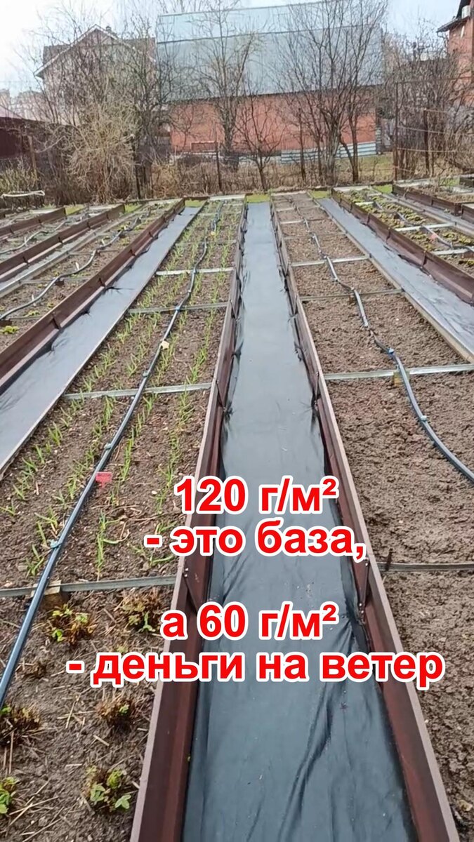 Дорожки между грядками из нетканого материала