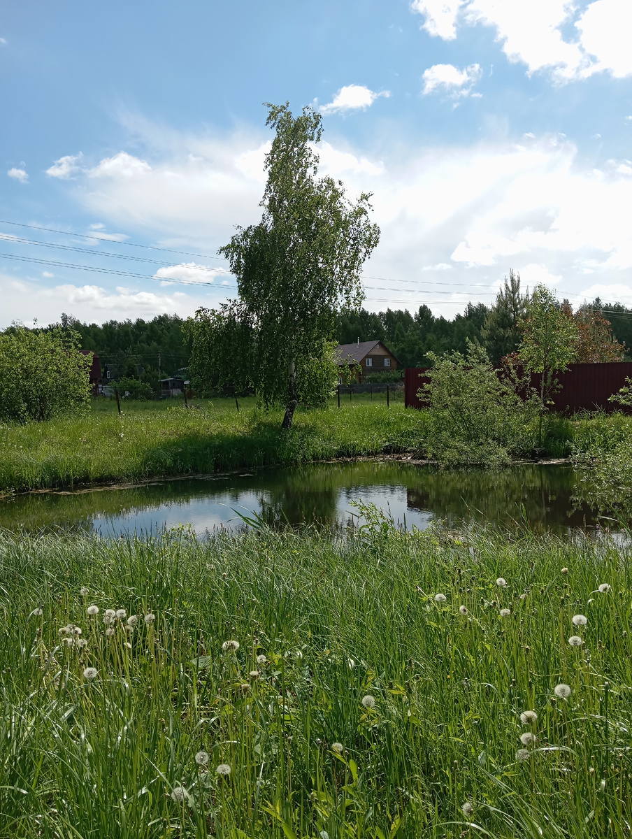 Фото Мурзилки