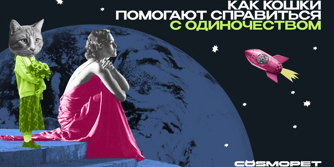 Ты умрёшь одна с сорока кошками!