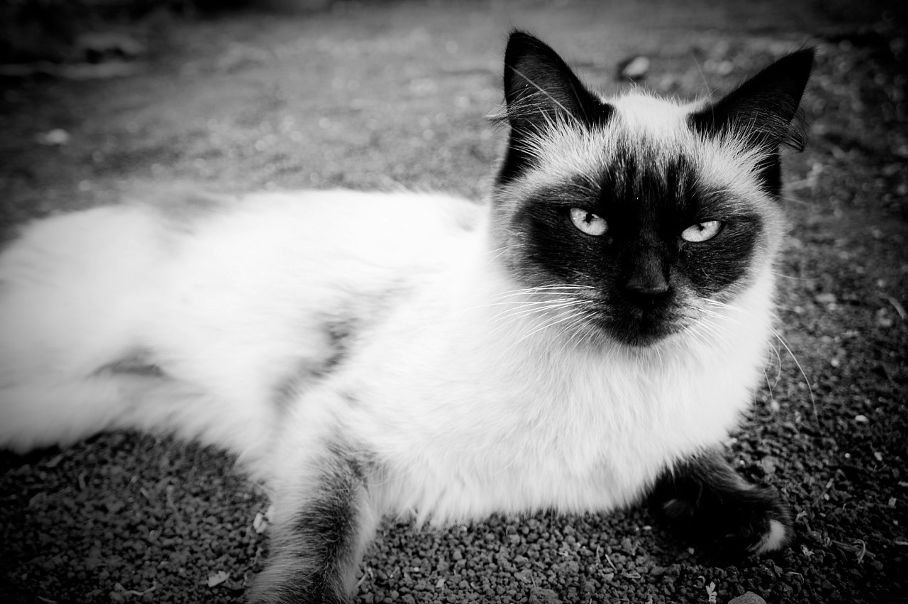 Личное фото
