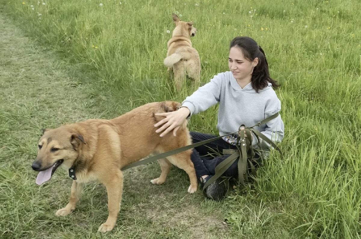 Щенкам очень нужно внимание, общение с людьми 