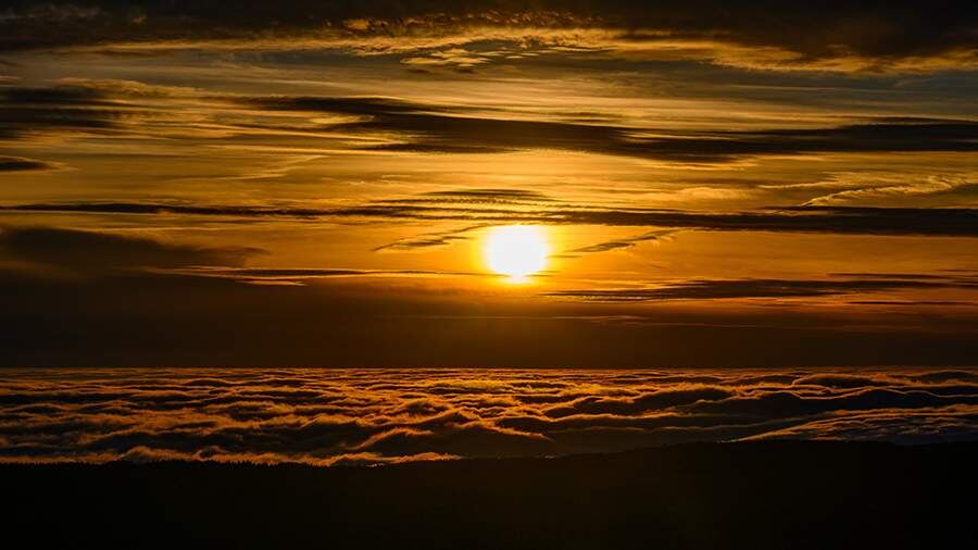    Фото: Global Look Press/Hendrik Schmidt