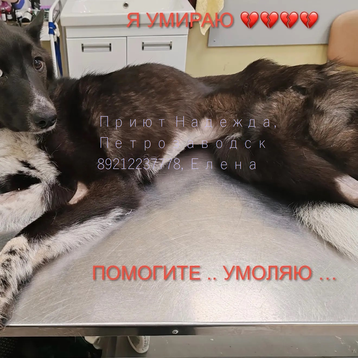 -2