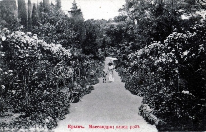 Массандра. Аллея роз. Открытка 1905 г.