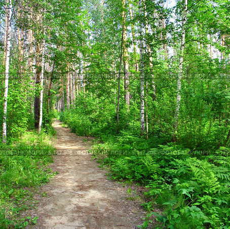 Фото с яндекса