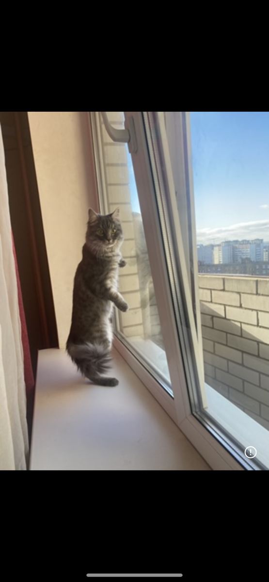 Нашла старую фотографию, где-то 2021 год 