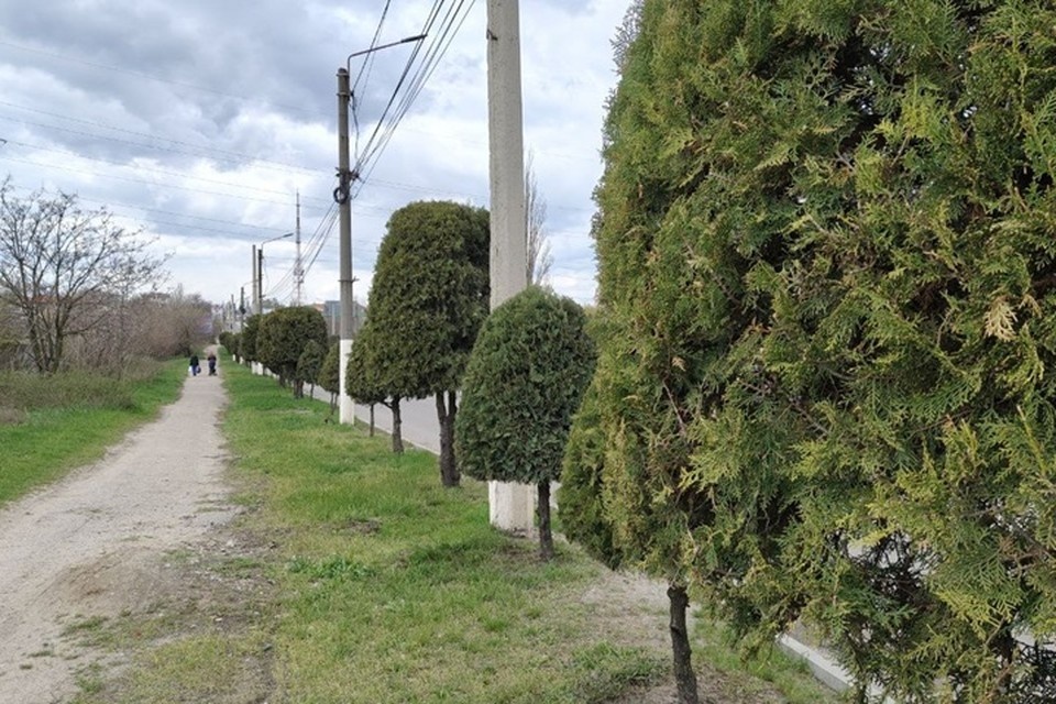    В среду, 3 июня, в Запорожской области небо будет плотно затянуто облаками в течение всего дня Денис ДОРОФЕЕВ