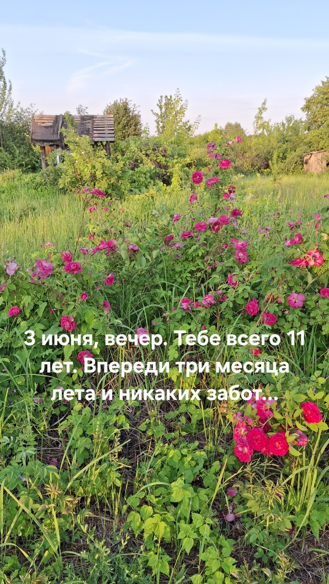 иллюстрация автора